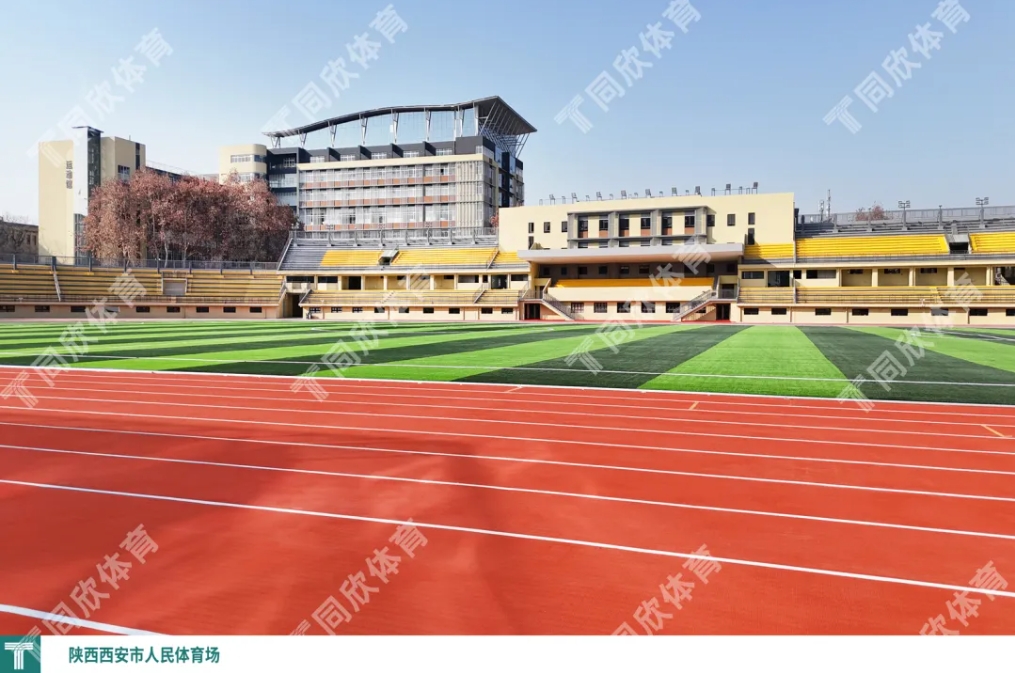 XPJ·(中国区)官方网站