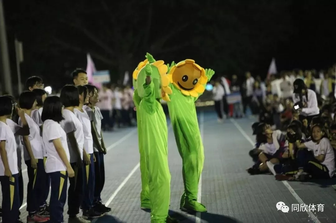 XPJ·(中国区)官方网站