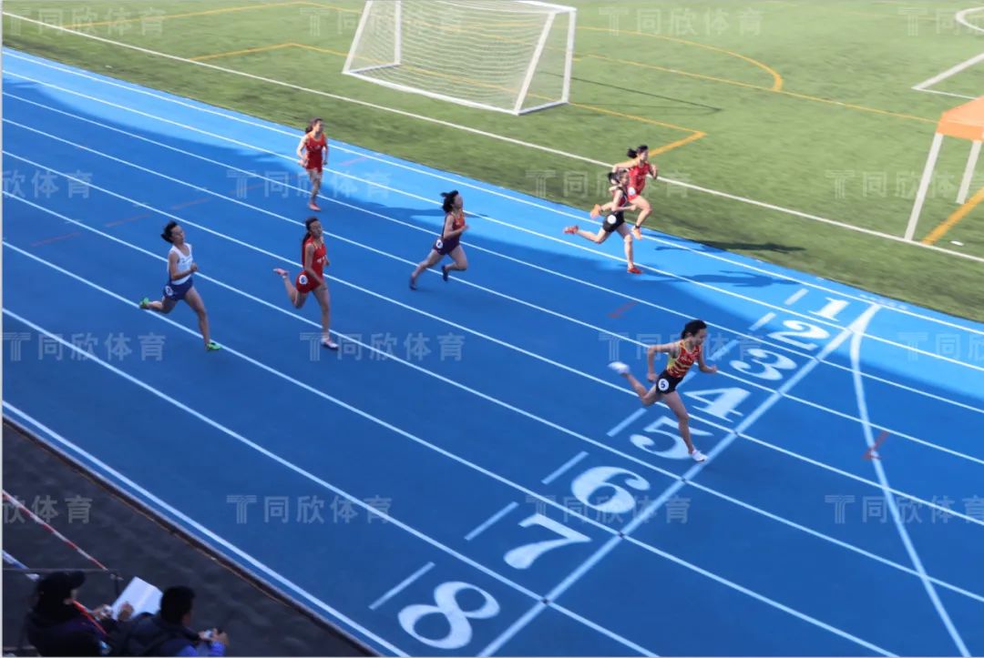 XPJ·(中国区)官方网站